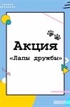 Акция «Лапа дружбы» на Ставрополье: животным тоже нужна помощь